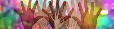 volunteer-2654004